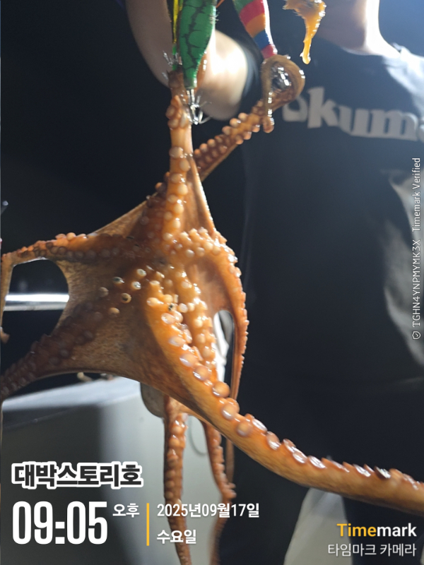 2025-09-17 09.05.42__(대박스토리호).jpg