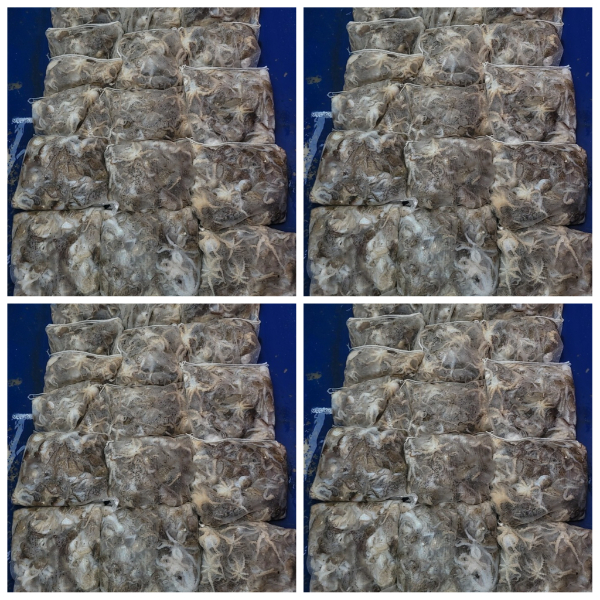 PhotoCollage_1757680133203.jpg