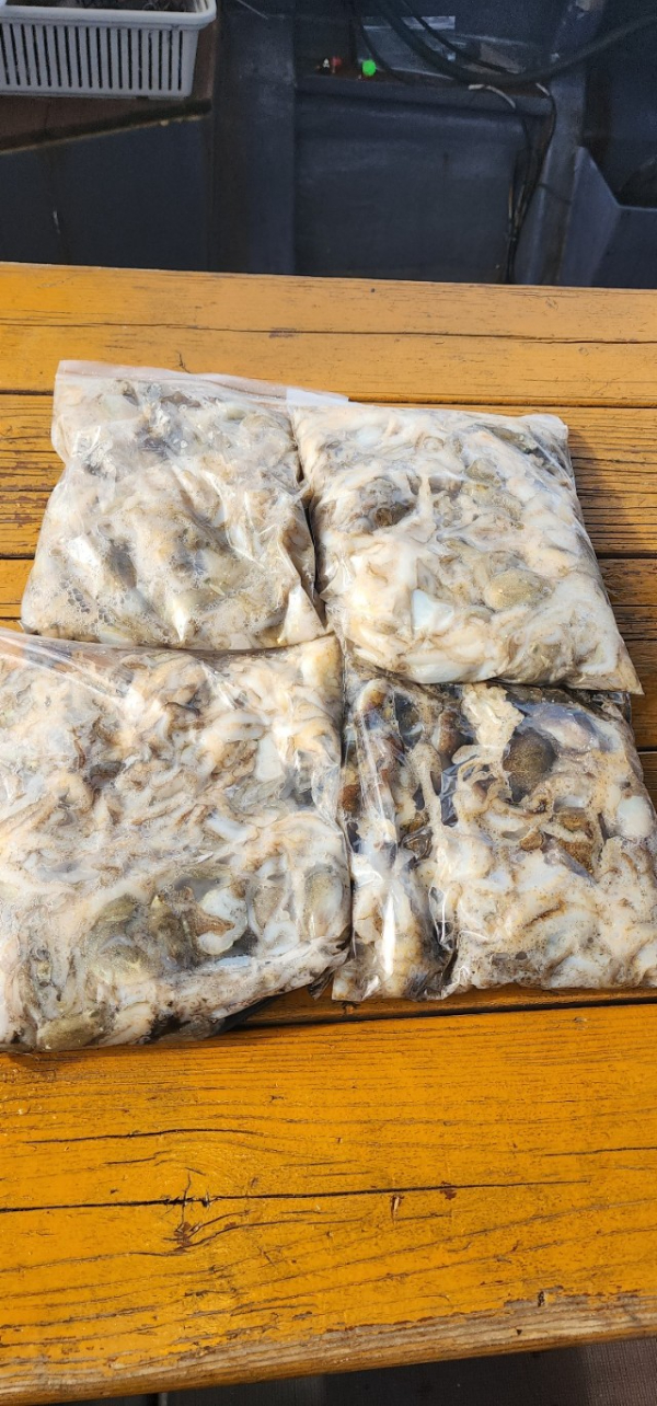 예지퀸호 농어외수질&어초낚시 경기인천권_사진_20250904_8.jpg