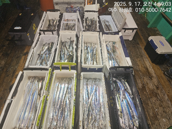 KakaoTalk_20250917_134708005_11.jpg