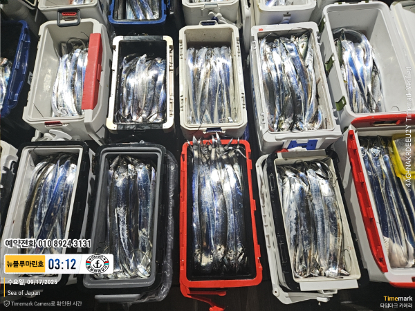 2025-09-17 03.12.26_Japan_(제목-뉴블루마린호)_(예약전화 010 8924 3131).jpg