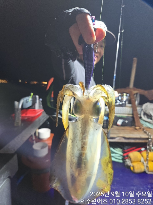 제주왔어호_사진_20250913_43.jpg