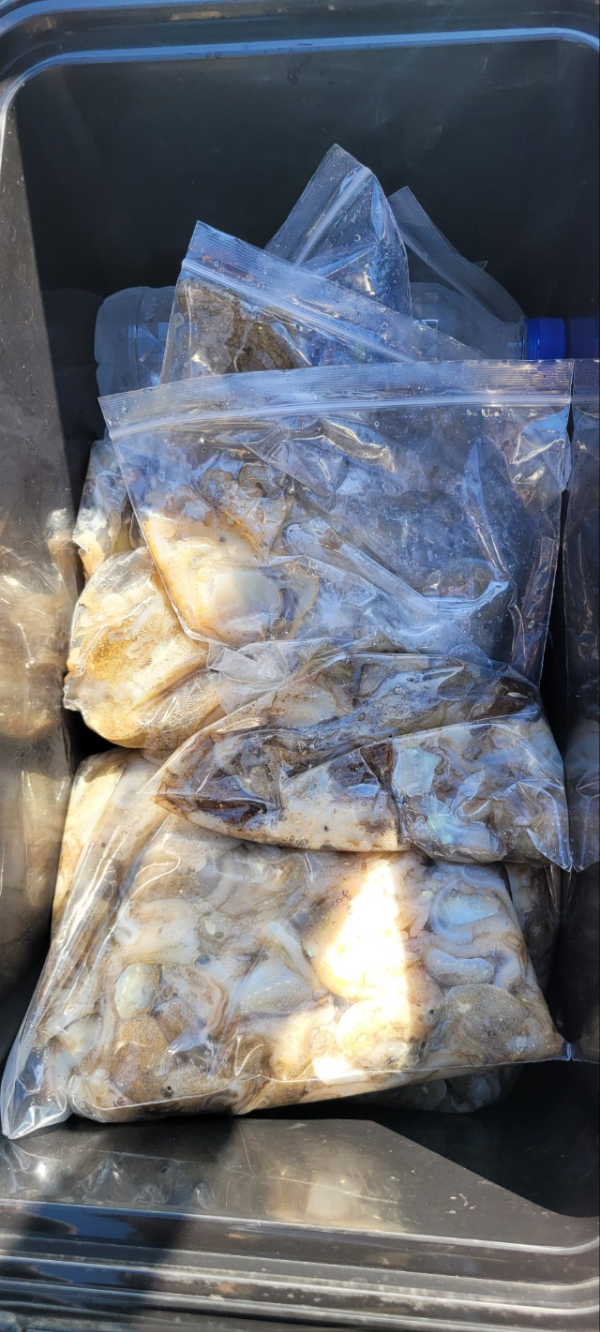 예지퀸호 농어외수질&어초낚시 경기인천권_사진_20250902_11.jpg