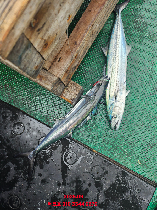 KakaoTalk_20250915_091514332_10.jpg