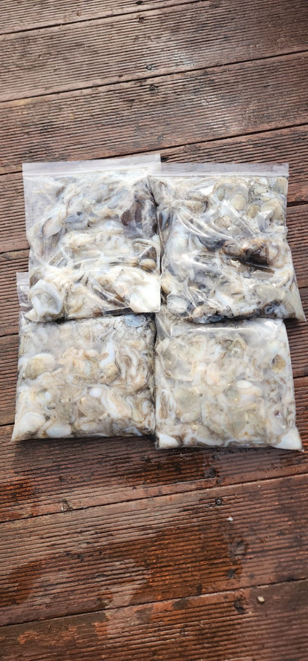 예지퀸호 농어외수질&어초낚시 경기인천권_사진_20250904_10.jpg