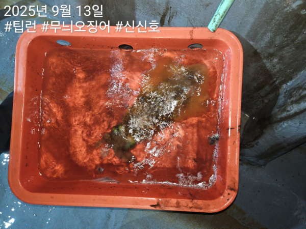 신신낚시 강구점 신신호_사진_20250913_6.jpg