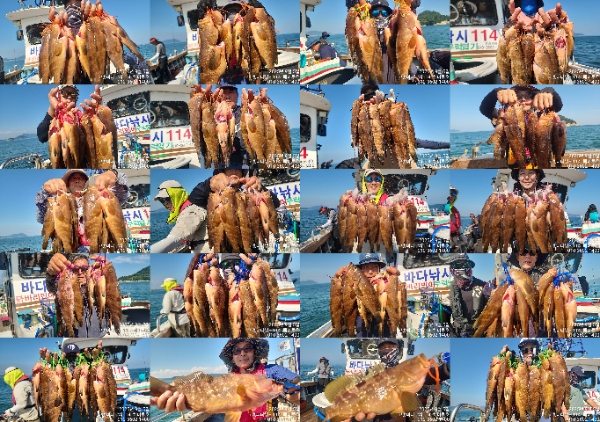 04TimePhoto_20250905_154721-tile.jpg