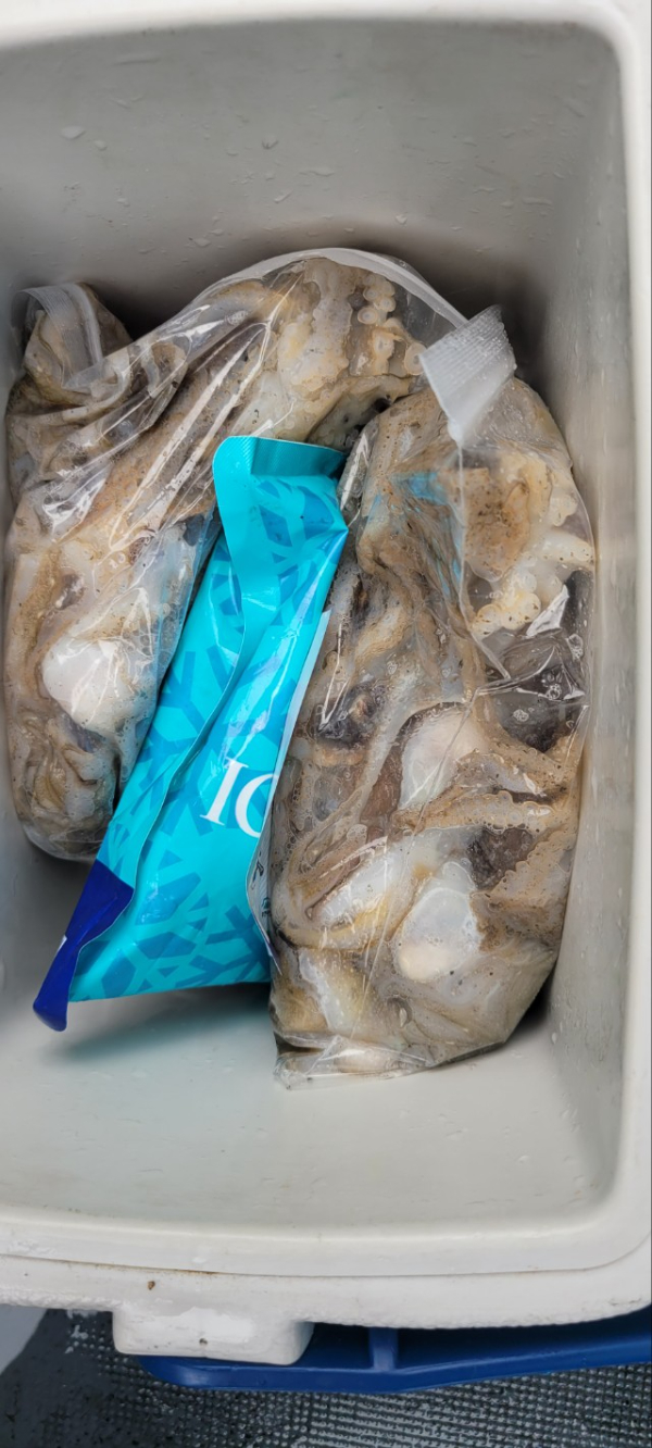 예지퀸호 농어외수질&어초낚시 경기인천권_사진_20250928_14.jpg