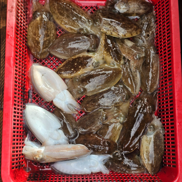 마검포 대한호(VIP)_사진_20250925_7.jpg