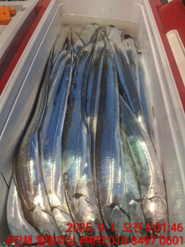 KakaoTalk_20250901_082511318_11.jpg
