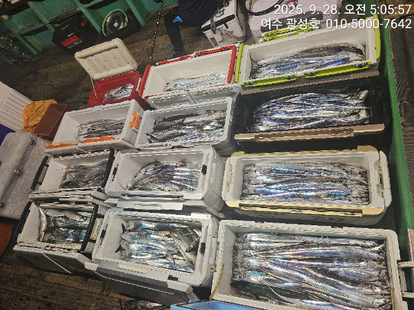 KakaoTalk_20250928_162921439_11.jpg