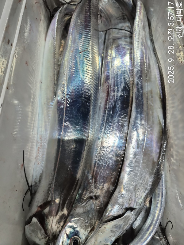 KakaoTalk_20250928_075817890_13.jpg