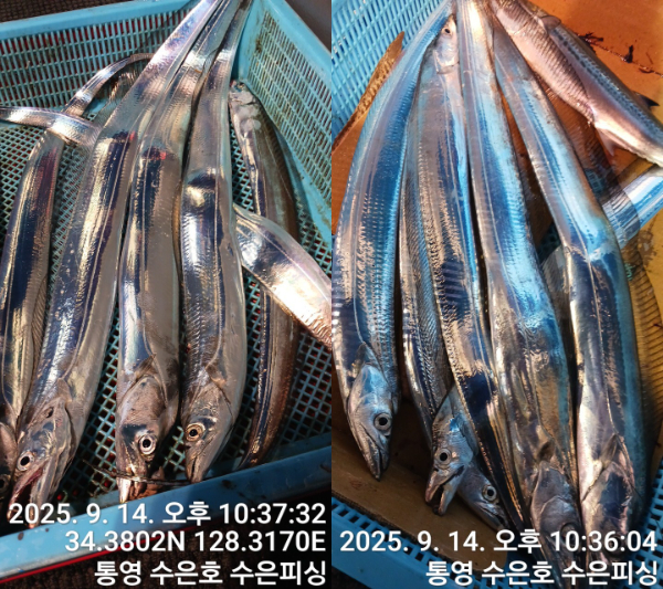 1757884185648-tile.jpg