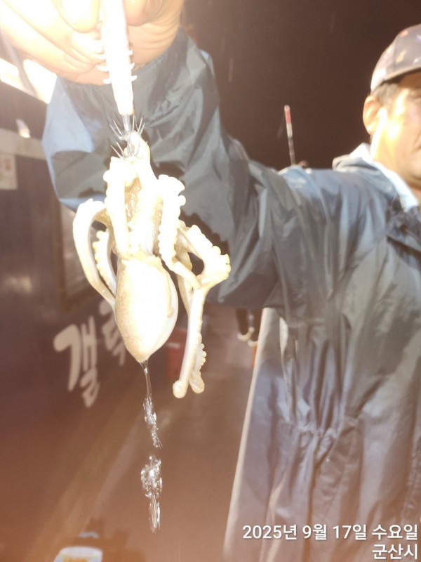 군산 선상낚시, 바다낚시 출조 전문 ☆서군산낚시☆_사진_20250917_1.jpg