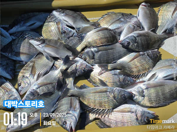 2025-09-23 01.19.02__(대박스토리호).jpg