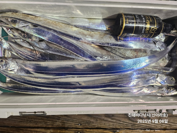 바다꾼낚시(신아라호)_사진_20250908_8.jpg