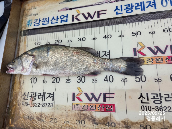 슬라이드0008.jpg