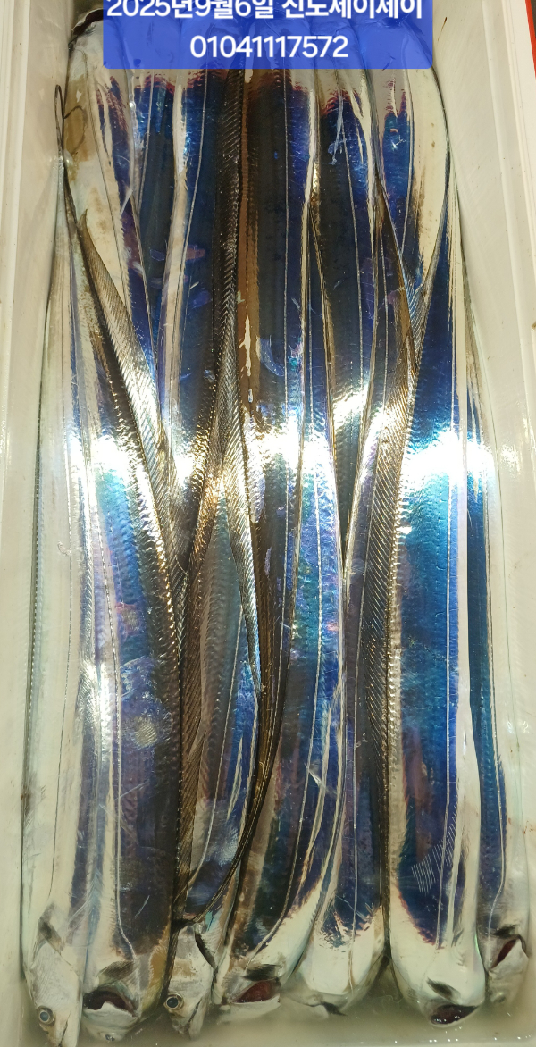 1000036917.jpg