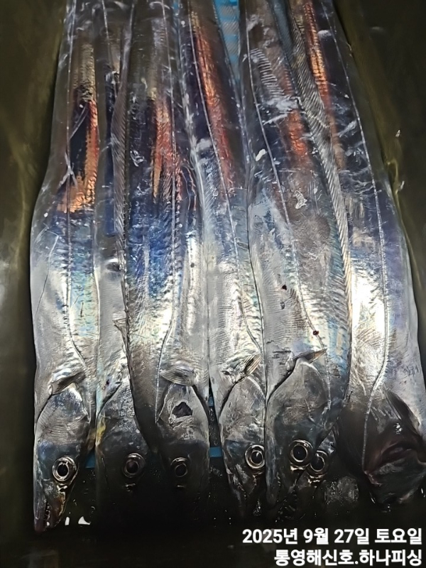 1758910133912.jpg