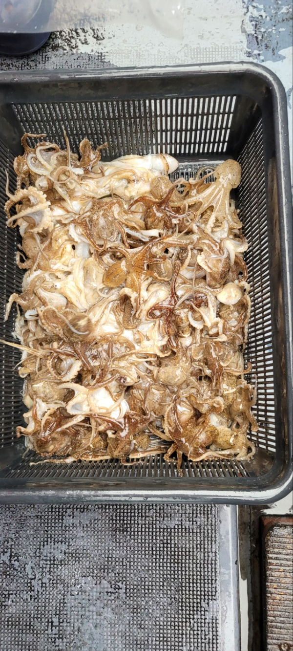 예지퀸호 농어외수질&어초낚시 경기인천권_사진_20250916_8.jpg