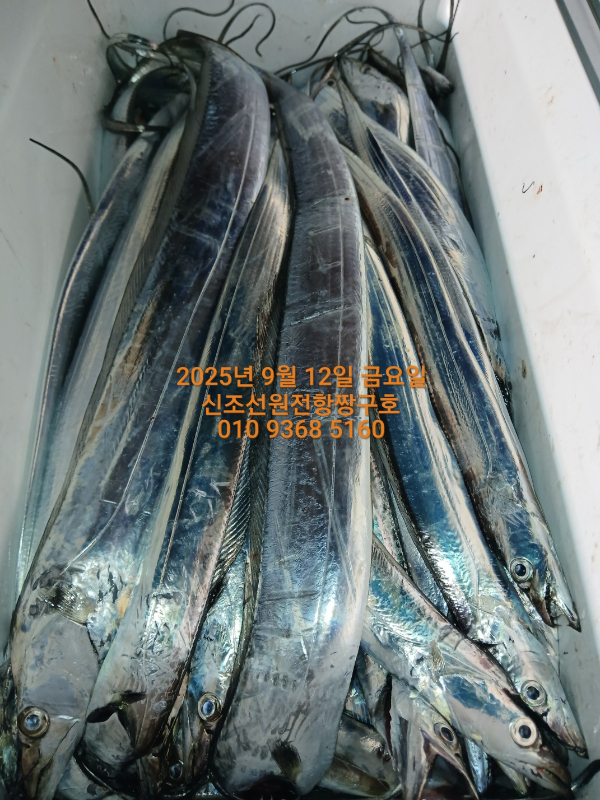 KakaoTalk_20250913_041817566_08.jpg