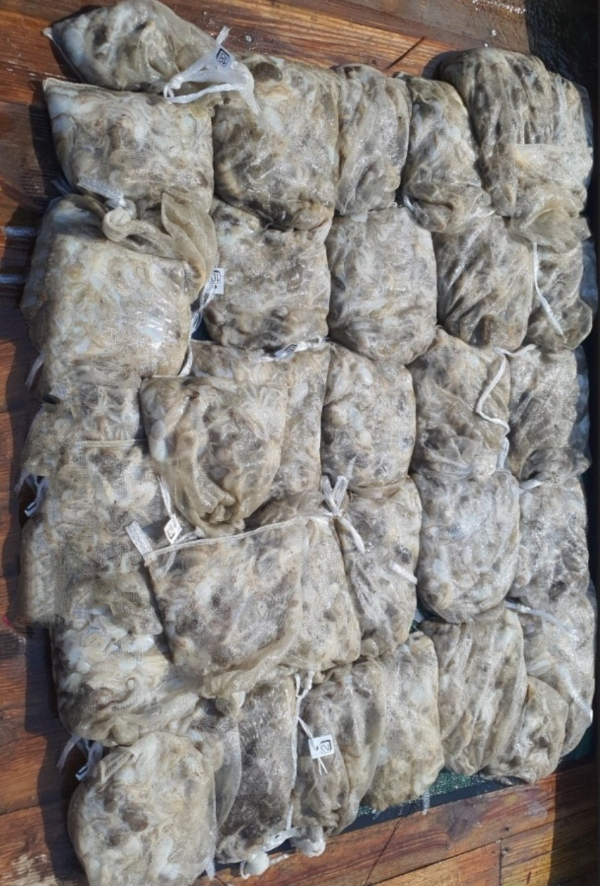 50 (1) - 복사본 - 복사본_b.jpg