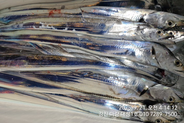 8c205e9755daf88b41058eedda8849b5.jpg