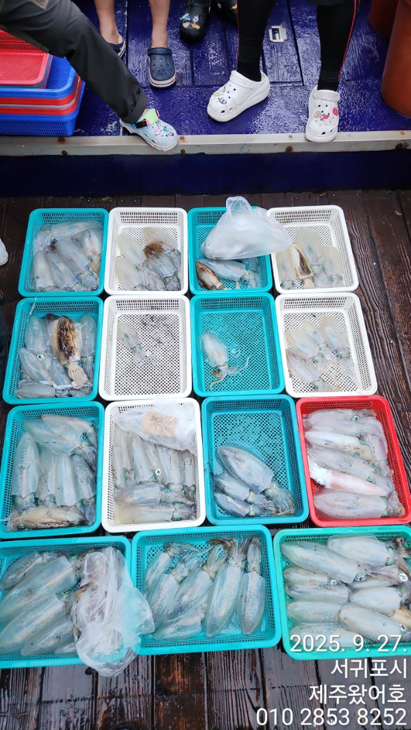 제주왔어호_사진_20250929_1.jpg