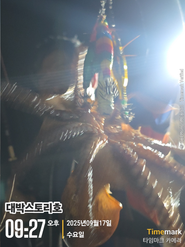 2025-09-17 09.27.31__(대박스토리호).jpg