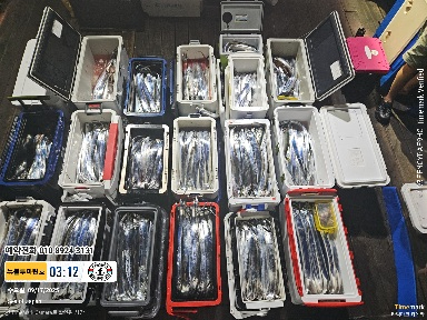 2025-09-17 03.12.01_Japan_(제목-뉴블루마린호)_(예약전화 010 8924 3131).jpg