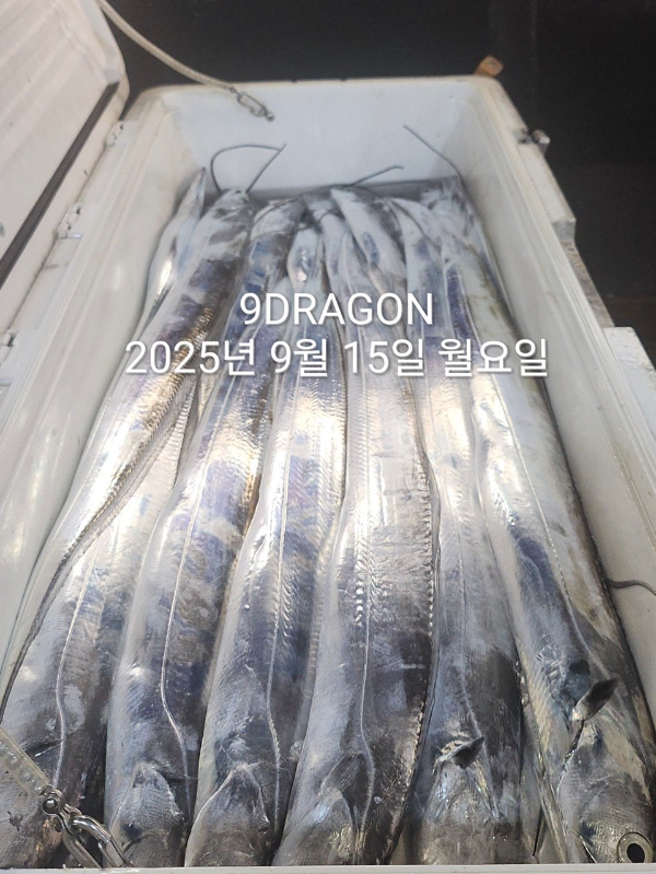866DA1DF-1CCA-4289-808B-3FD521E0D7EE.jpeg