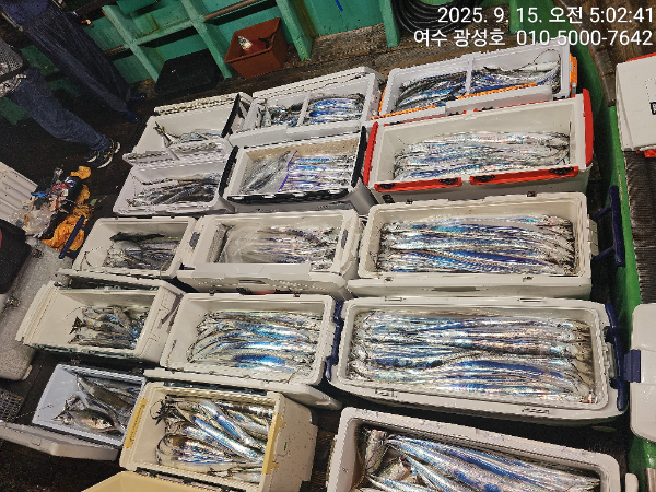 KakaoTalk_20250915_100834010_04.jpg