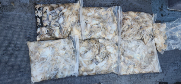 예지퀸호 농어외수질&어초낚시 경기인천권_사진_20250918_18.jpg