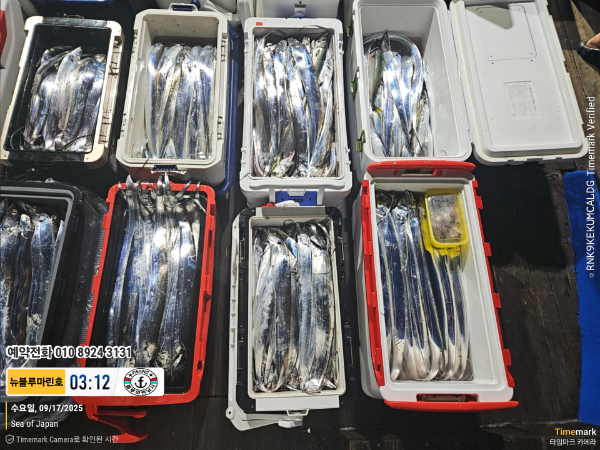 2025-09-17 03.12.24_Japan_(제목-뉴블루마린호)_(예약전화 010 8924 3131).jpg