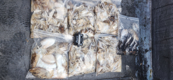 예지퀸호 농어외수질&어초낚시 경기인천권_사진_20250915_12.jpg