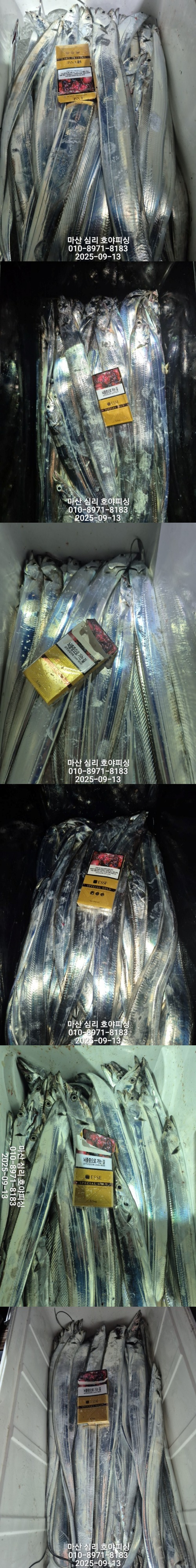 9월13일3호.jpg