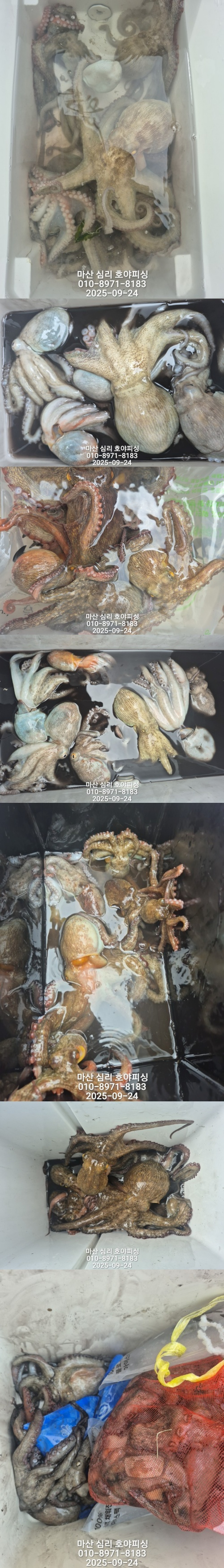 250924.3.jpg