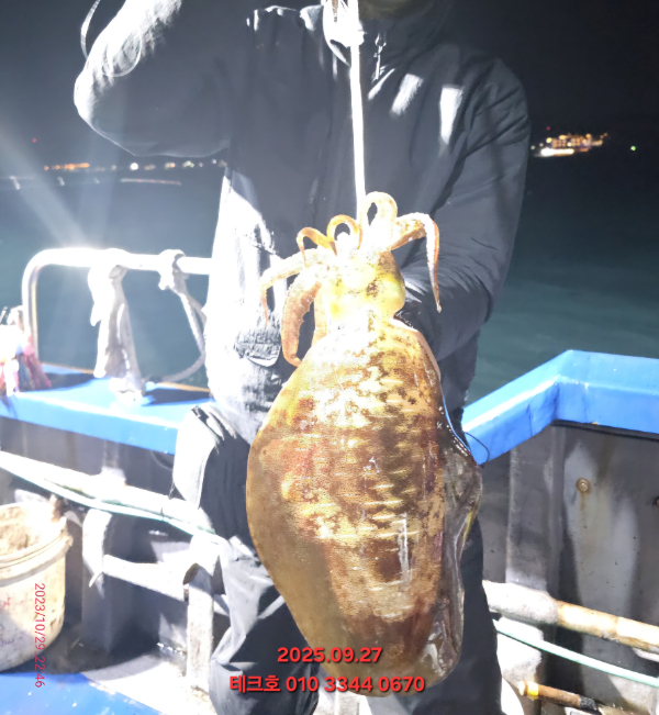 KakaoTalk_20250928_082601489_06.jpg
