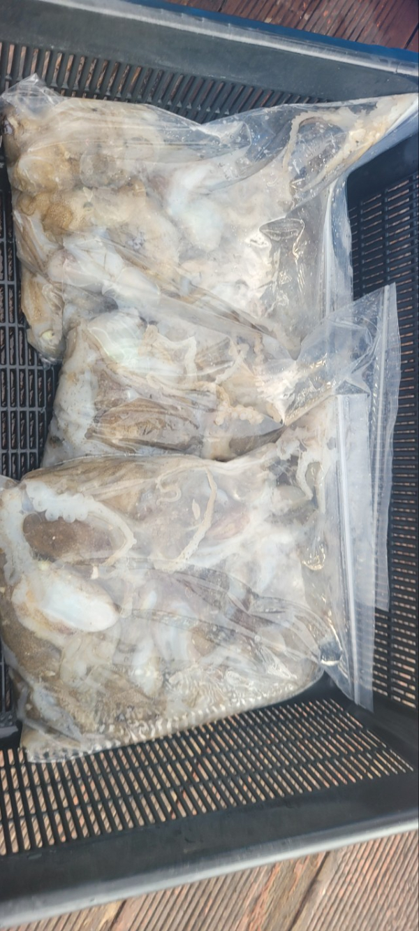 예지퀸호 농어외수질&어초낚시 경기인천권_사진_20250901_2.jpg