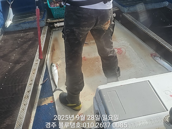 20250928_084412.jpg