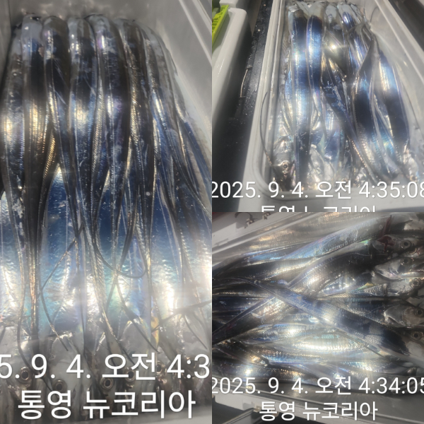 1000071442.jpg