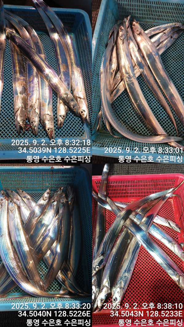 1756846357880-tile.jpg