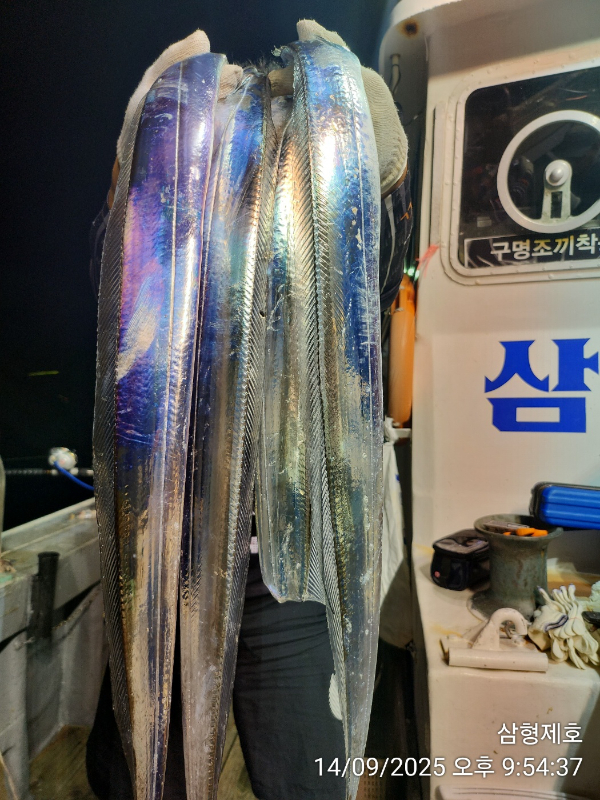 KakaoTalk_20250915_064215966_07.jpg
