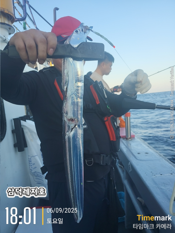 2025-09-06 18.01.44_.jpg