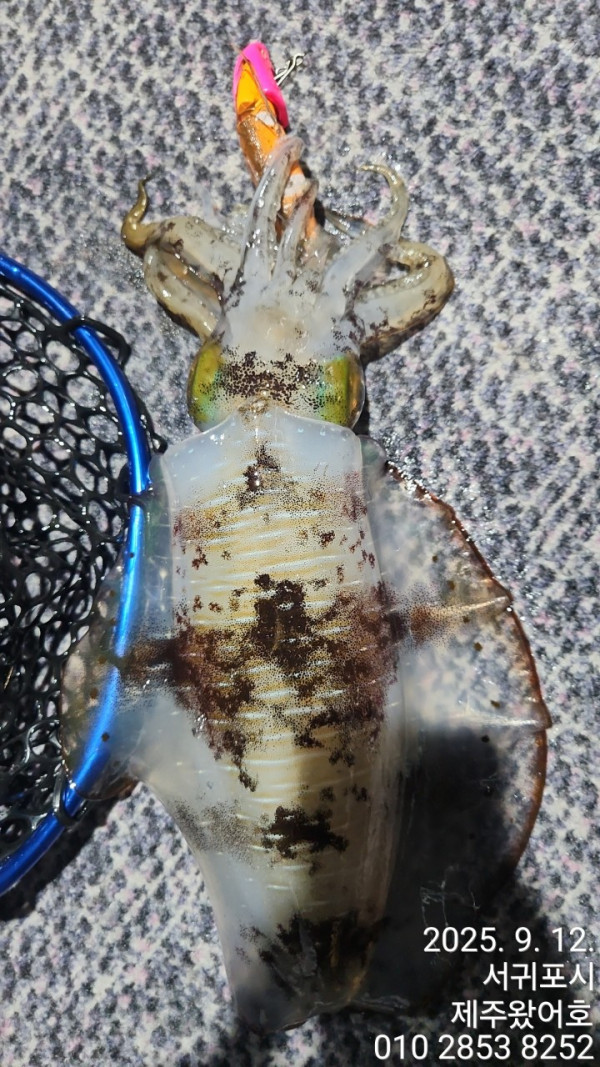 제주왔어호_사진_20250913_48.jpg