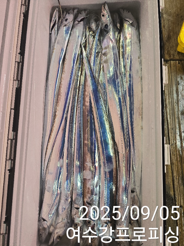 909c8dc3e59bec3651db3c75b2033b1f.jpg