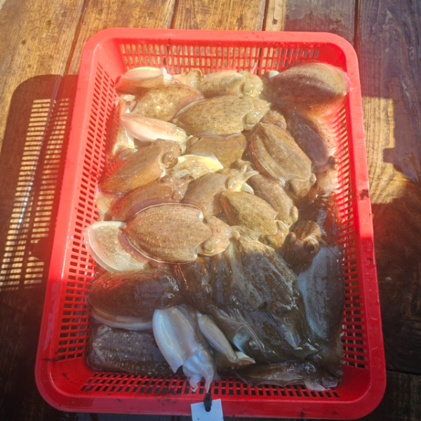 마검포 대한호(VIP)_사진_20250923_12.jpg