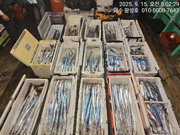 KakaoTalk_20250915_100834010_08.jpg