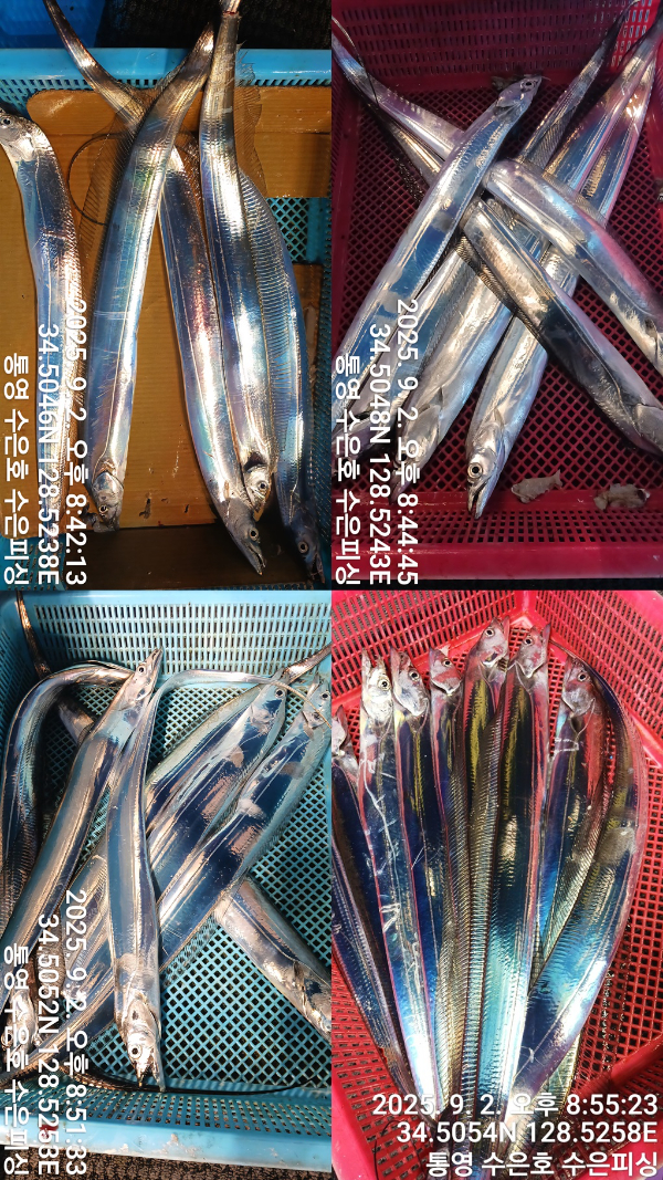 1756846357369-tile.jpg