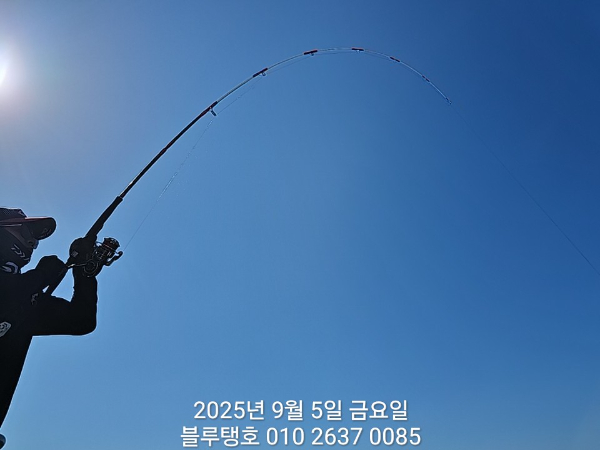 20250905_095633.jpg